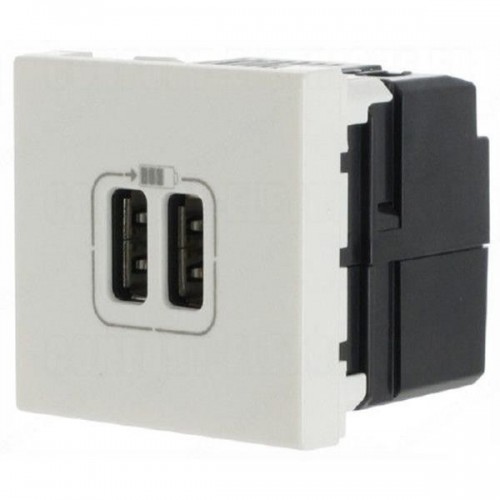 10500231 РОЗЕТКА 2xUSB 2M- 5V 1100mA 278594 MOSAIC 