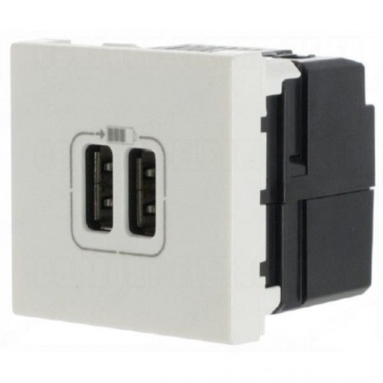 10500231 РОЗЕТКА 2xUSB 2M- 5V 1100mA 278594 MOSAIC 